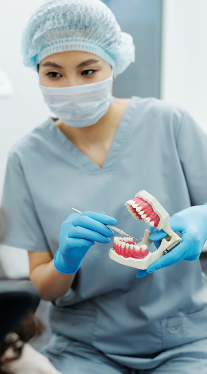 meslhy1987.hocoos.com