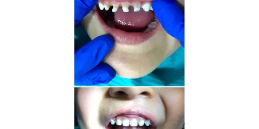 meslhy1987.hocoos.com